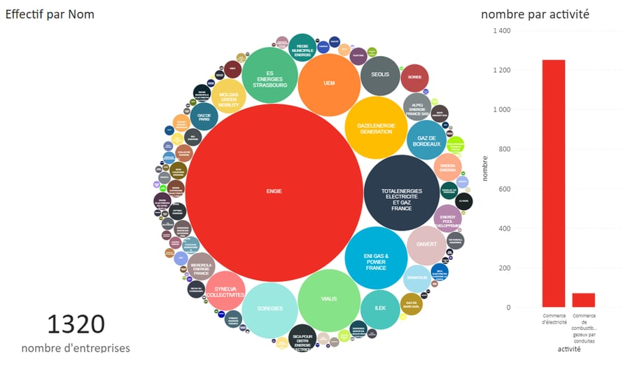 Effectif du marché de l'énergie en France