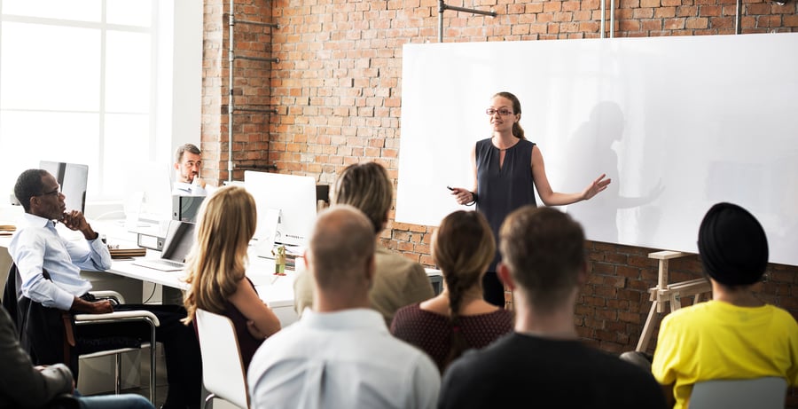 A woman leads anti-fraud training